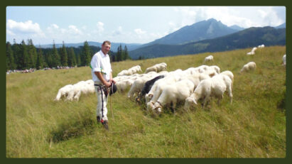 Pieśni z gór i polan. Góralskie pieśni pasterskie [wybrane regiony]